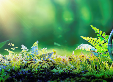 Sustainability Banner.png