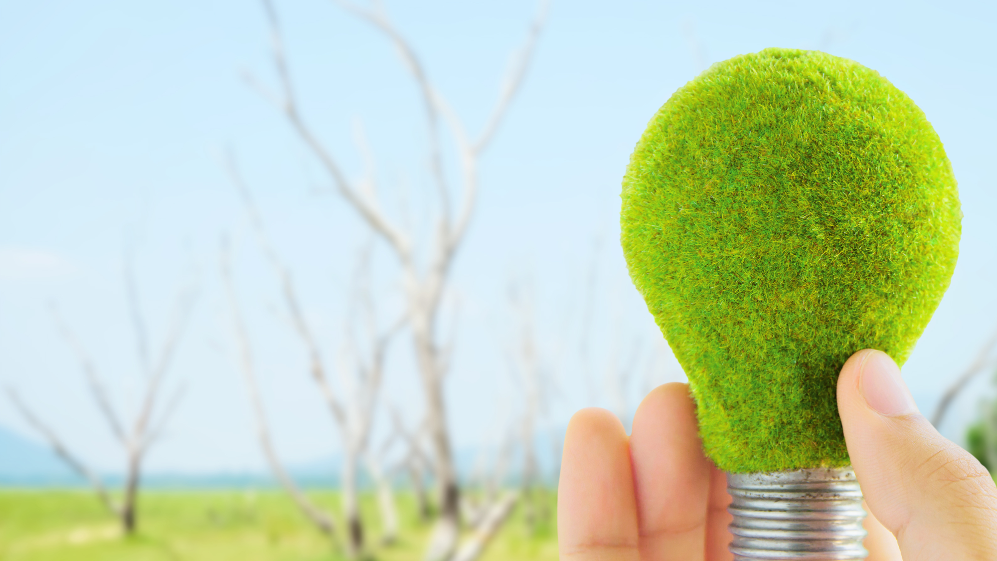 Eco Design Course Header.png